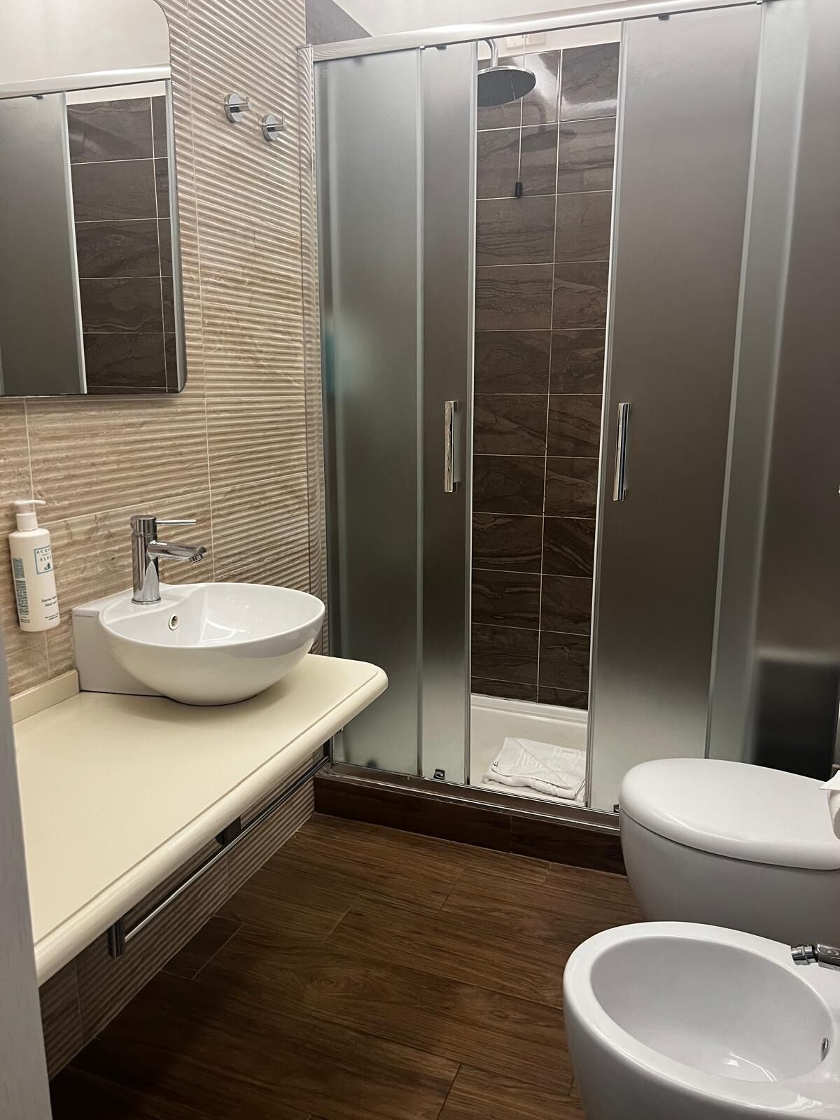 shower, free toiletries, hair dryer, bidet