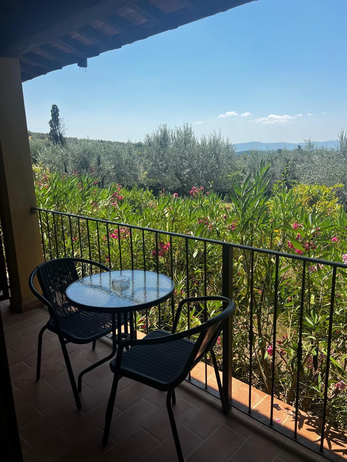Habitación Confort con 1 cama matrimonial o 2 individuales, Terraza, vista al jardín | Vista desde la habitación