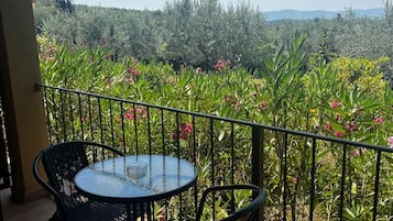 Comfort Double or Twin Room, 1 Double or 2 Twin Beds, Terrace, Garden View | View from room