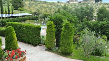 A landscaped garden with a swimming pool, neatly trimmed hedges, and a solar panel array.