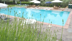 Une piscine entourée de verdure, avec des chaises longues et des parasols.
