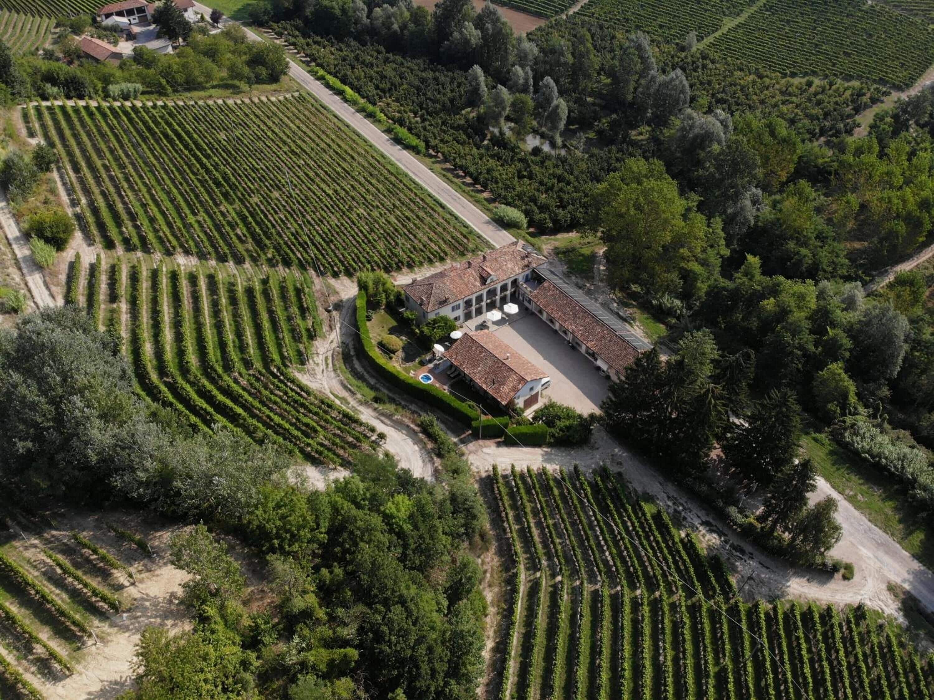 An aerial view of a vineyard with rows of grapevines, a building with a tiled roof, and a swimming pool.