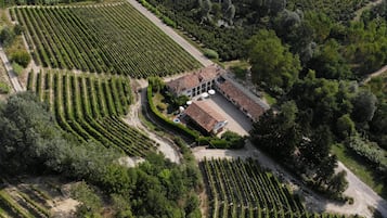 An aerial view of a vineyard with rows of grapevines, a building with a tiled roof, and a swimming pool.