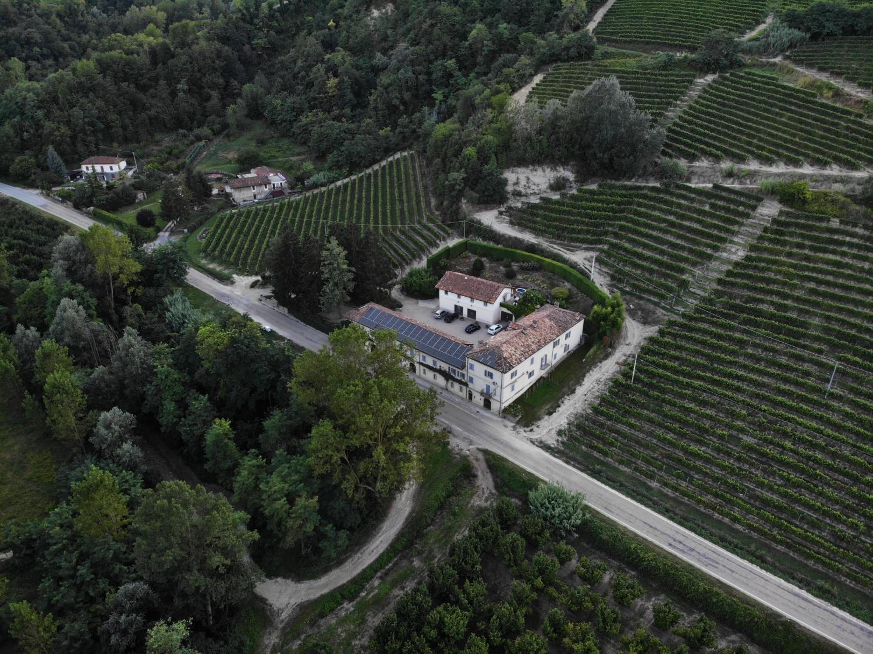 Vista aérea de um vinhedo com fileiras em terraços de videiras, um edifício branco com telhado de telhas e um caminho de terra serpenteando pela paisagem.