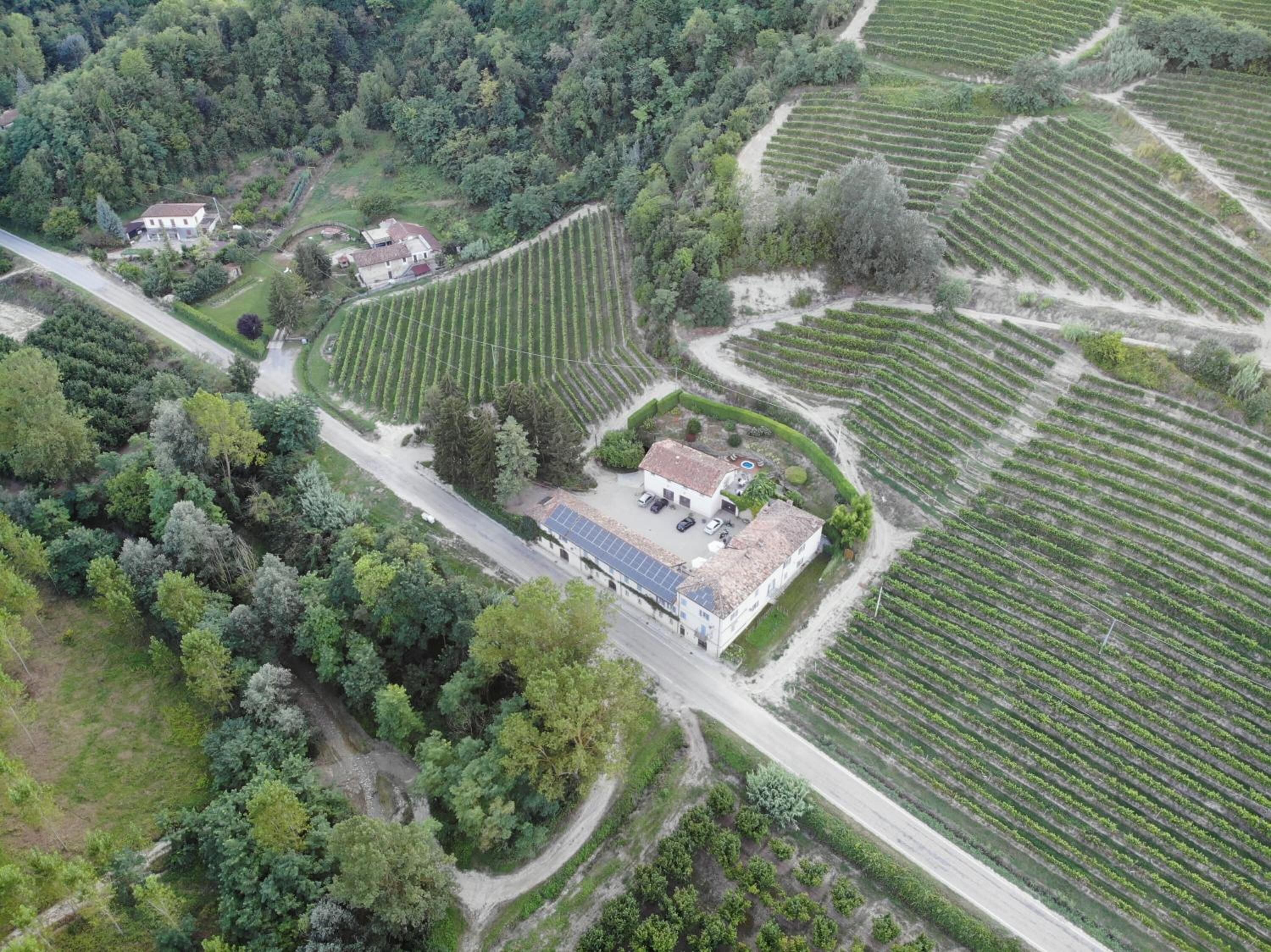 An aerial view of a vineyard with terraced fields, a main building with a solar panel roof, and a smaller structure nearby.