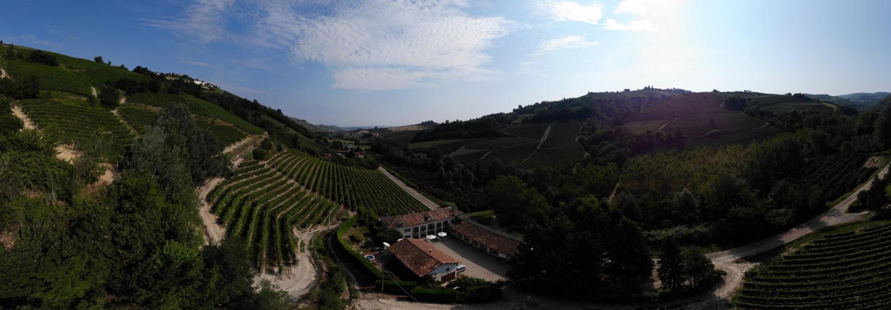 A vineyard with terraced fields and a building with a tiled roof.