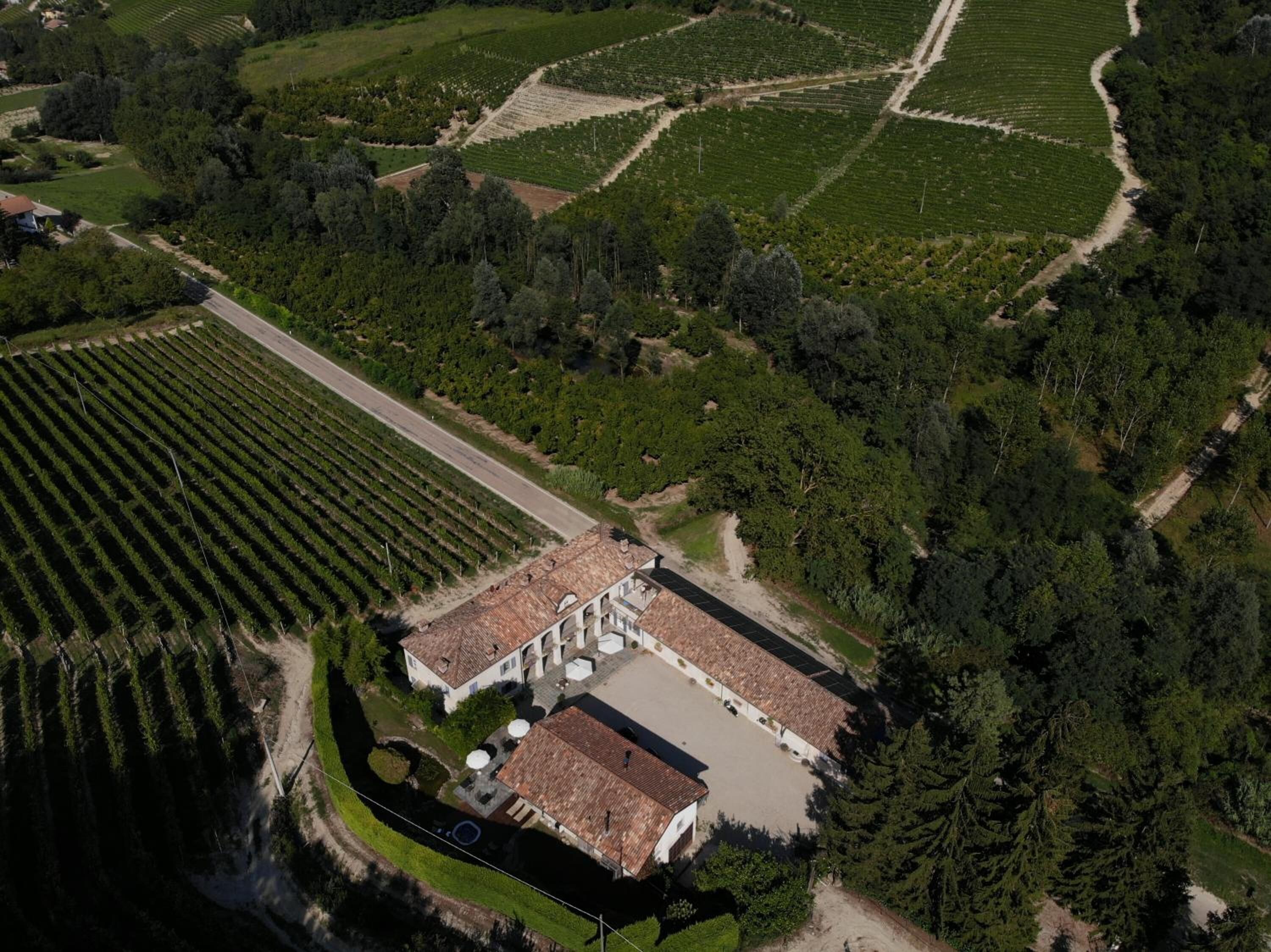 An aerial view of a vineyard with rows of grapevines, a building with a tiled roof, and a paved area in front.