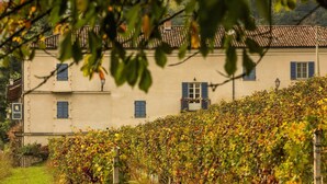 A building with a tiled roof, a garden with grapevines, and a sign indicating a restaurant. - Agriturismo Marcarini (Neviglie)