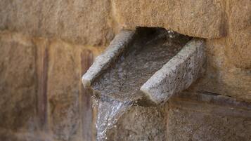 A stone water spout with water flowing into a trough.