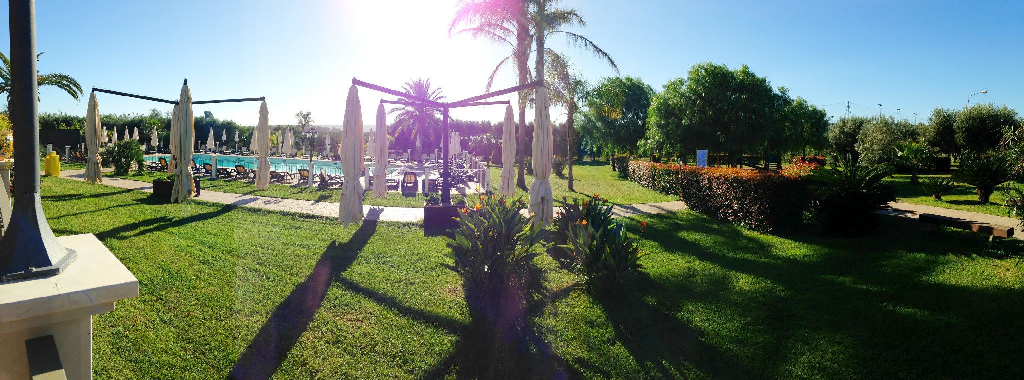 A pool area with lounge chairs and umbrellas, surrounded by well-maintained grass and palm trees.