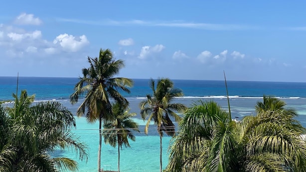 Une vue sur une plage tropicale, avec des palmiers et un ciel bleu azur.