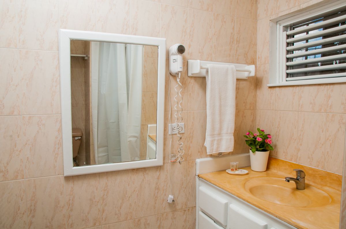 Casa de banho com chão de mármore, lavatório branco, espelho, porta-toalhas, secador de cabelo e uma planta em vaso.