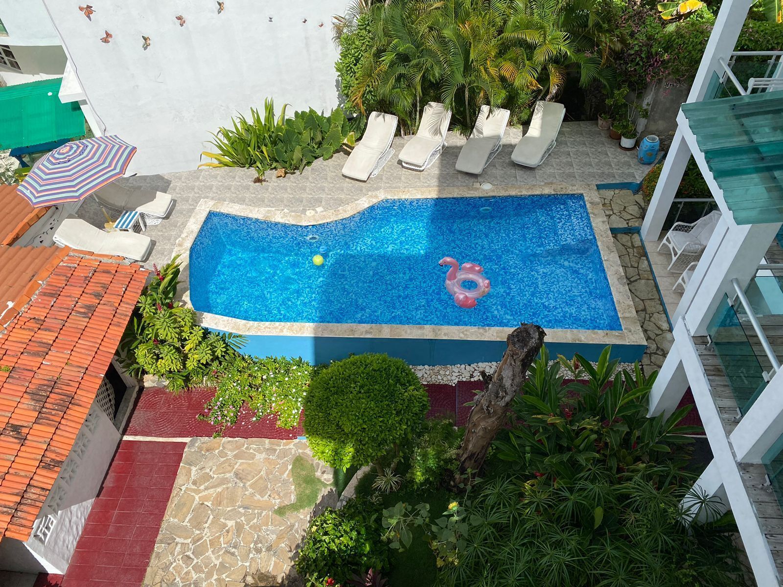 Una piscina en la azotea con agua azul cristalina, rodeada de sillones de descanso y abundante vegetación.