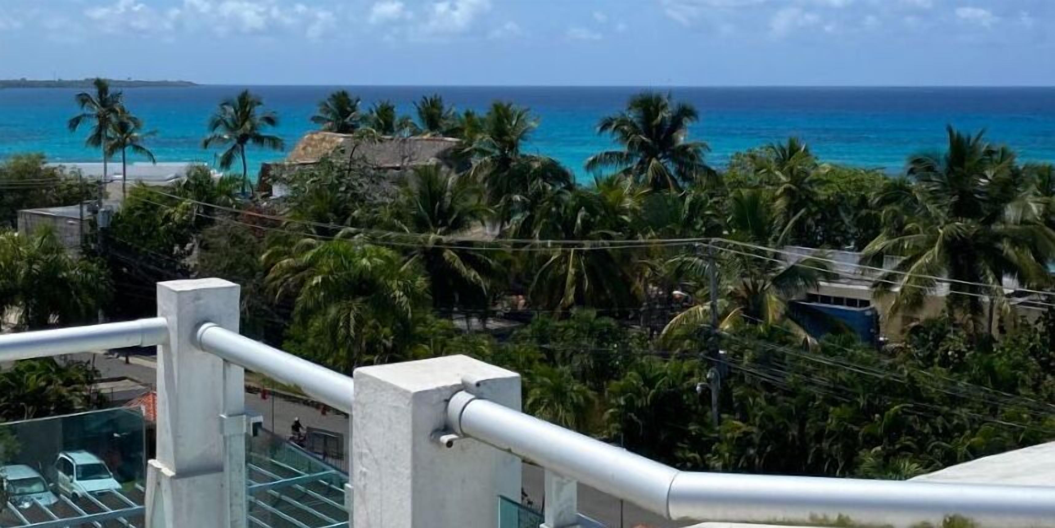 Vista de una zona costera con palmeras y un cielo azul despejado.