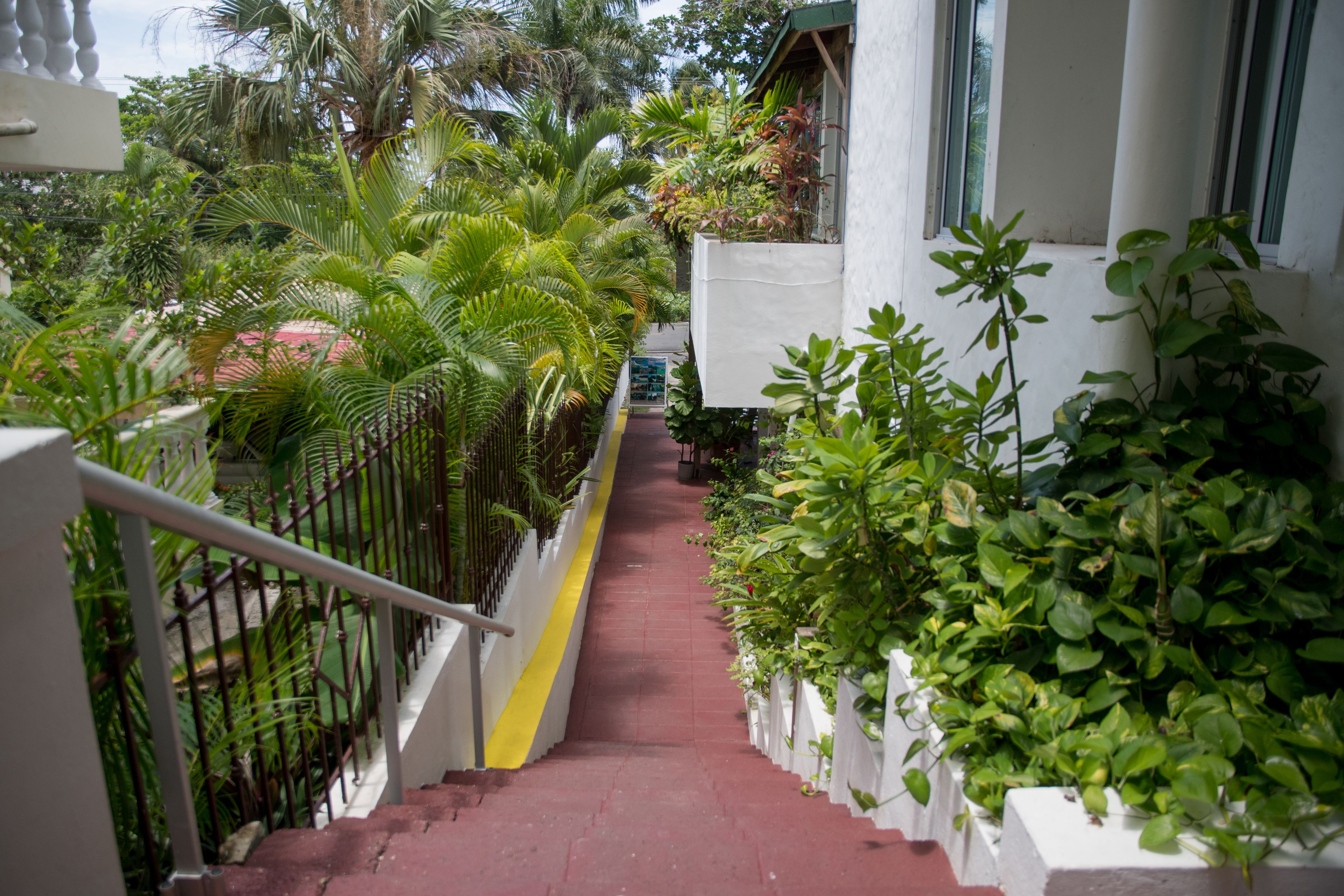 Foto - Hotel Neptuno Refugio