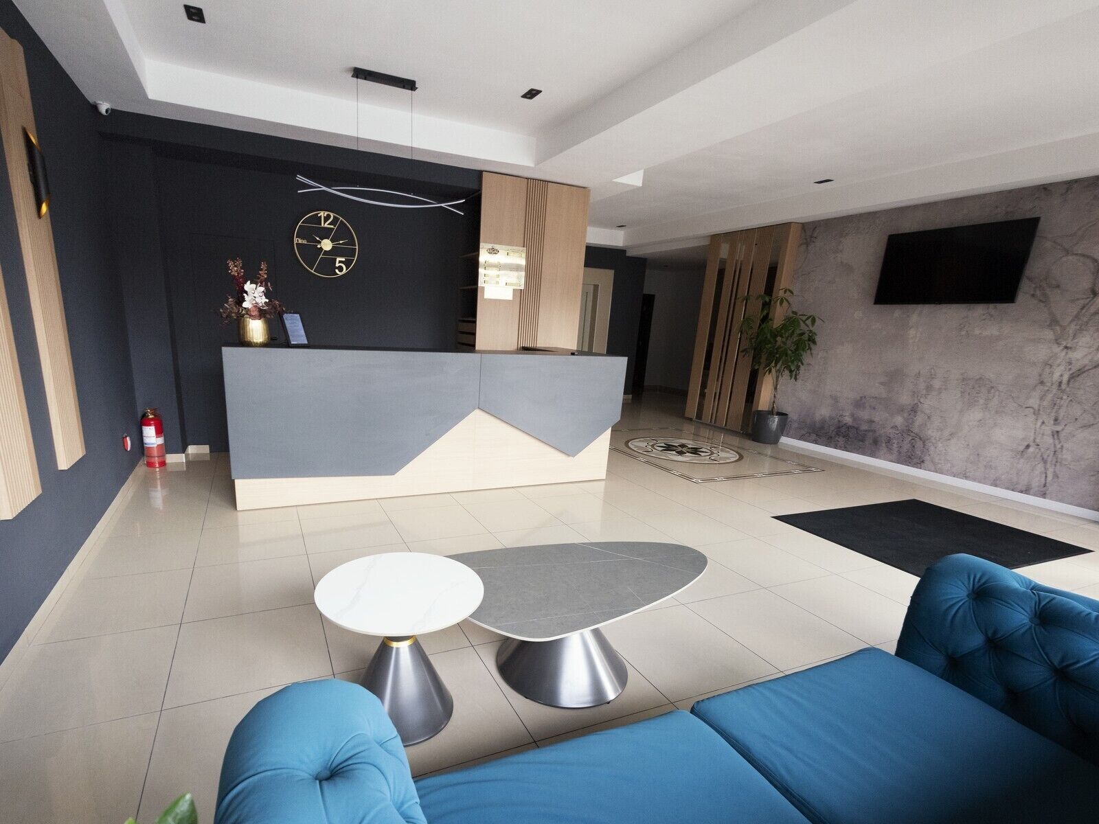 A modern reception area with a counter, two round tables, blue seating, a clock, and a potted plant.