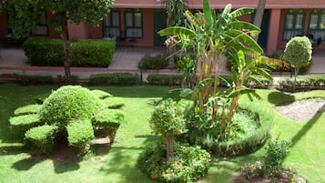 Jardin