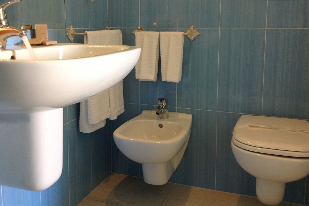 shower, bidet, towels