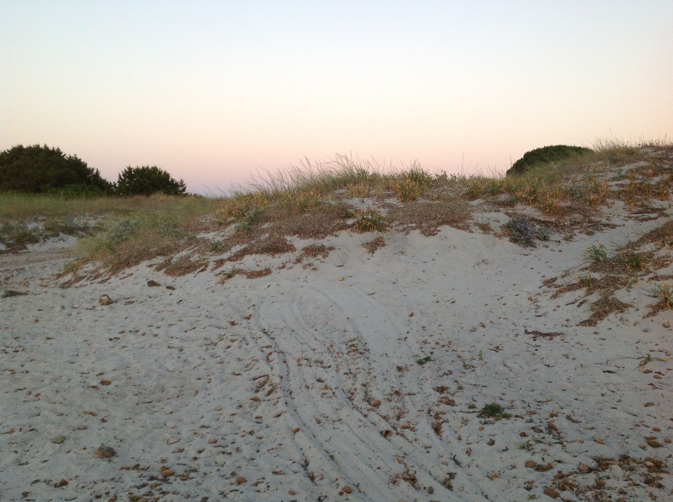 beach nearby, white sand