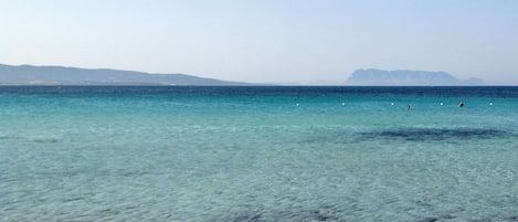 Perto da praia, areia branca 