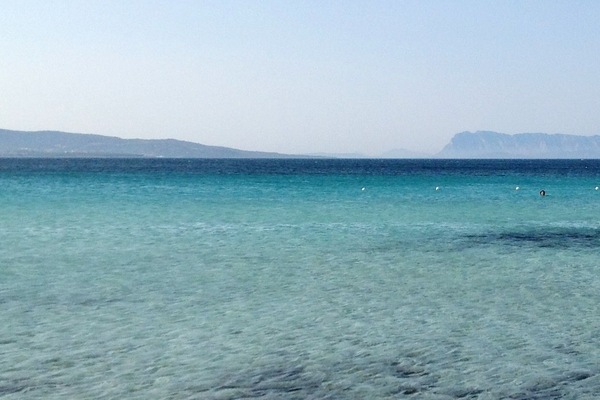 ビーチの近く、白砂