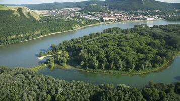 Luchtbeeld van een rivier omringd door dichte bossen en een stad met gebouwen en een kasteel op een heuvel.