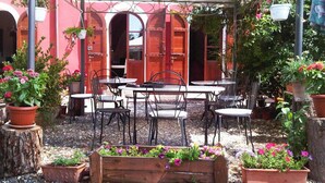 An outdoor café with tables and chairs, surrounded by potted plants and flowers. - B&B Il Moscondoro (Montopoli in Val d'Arno)
