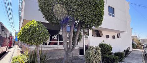 Un edificio moderno con un gran árbol en el centro del patio.