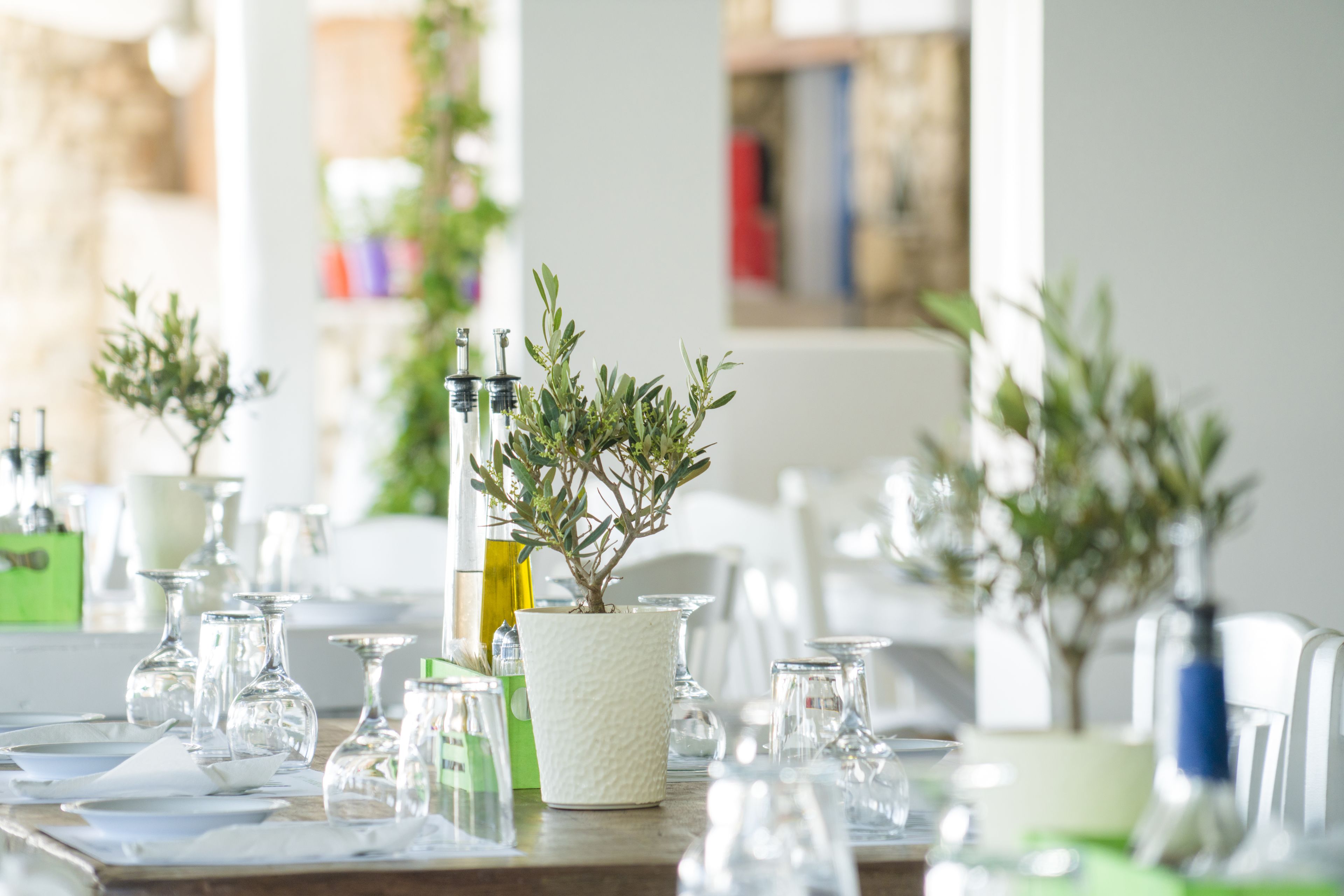 free daily on-the-go breakfast