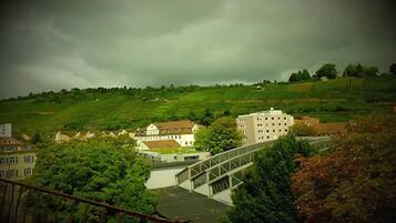 A rural landscape with a bridge, buildings, and a green field.