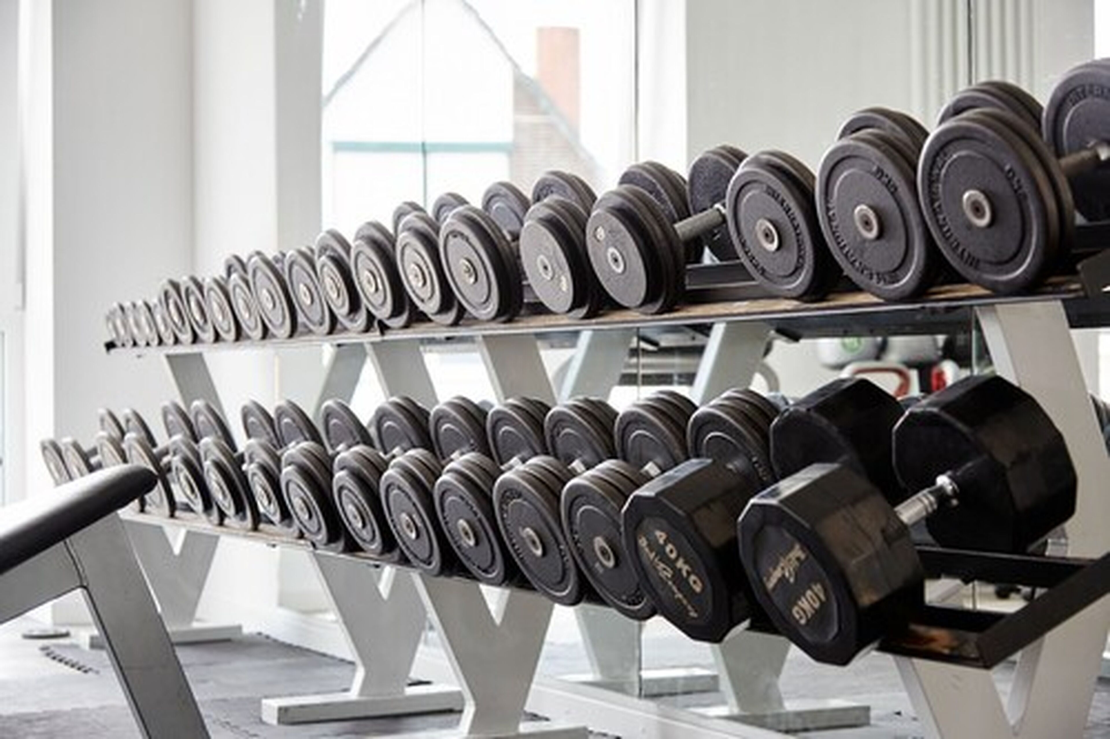A rack of dumbbells in a gym.