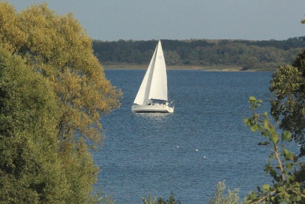 A sailboat on a calm body of water with trees in the foreground. - Flair Seehotel Zielow (Südmüritz)