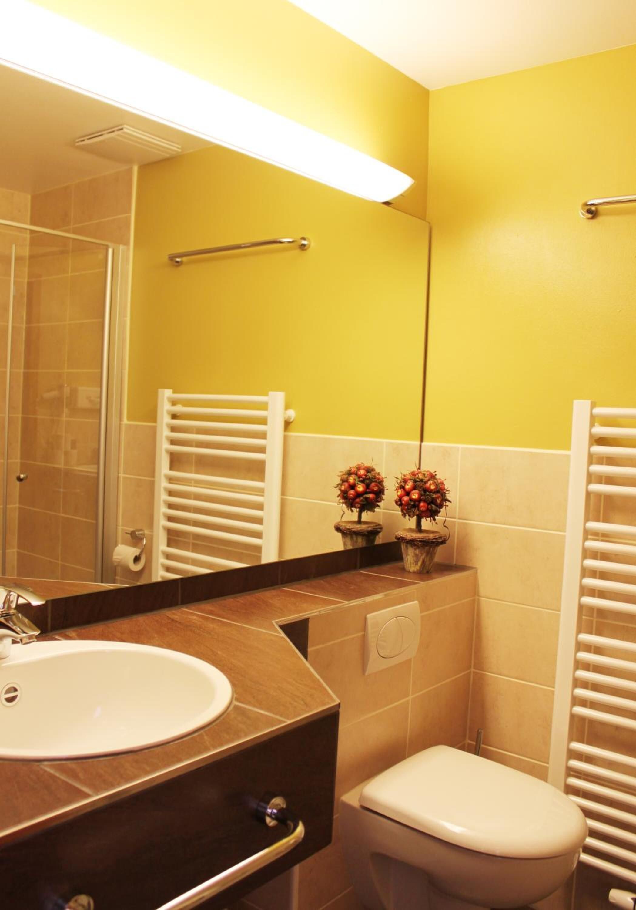 A bathroom with a sink, toilet, and a mirror.