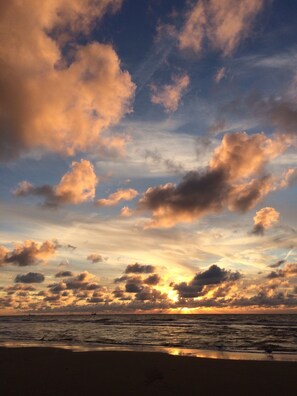 Beach nearby - Hotel Astoria (Noordwijk)