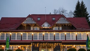 Uklassifisert bilde, 4 av 65, knapp