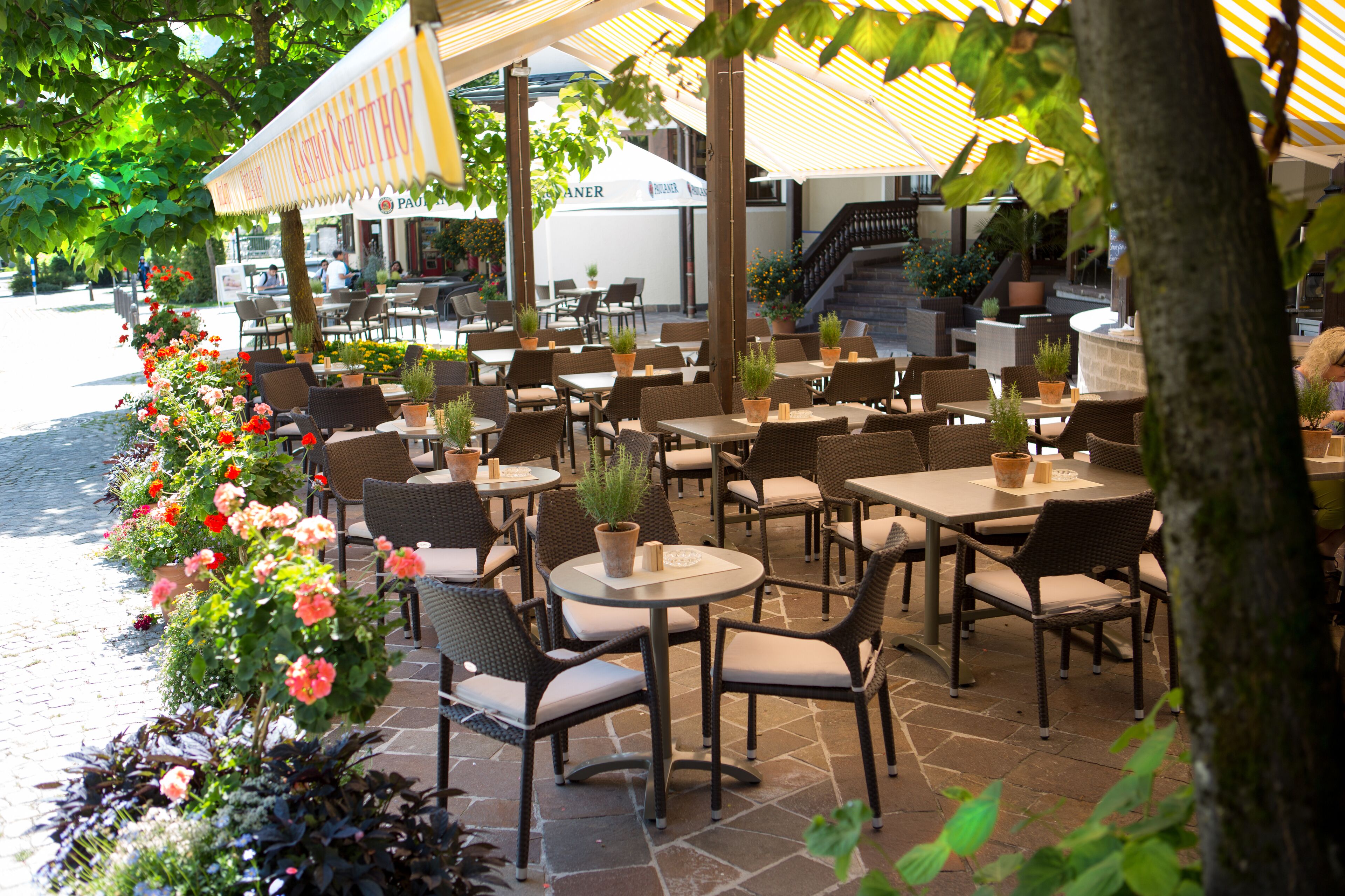 2 restaurants, local cuisine