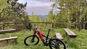 En mountainbike parkeret ved en træbænk og et picnicbord i en græsplæde med træer og udsigt over en dal.