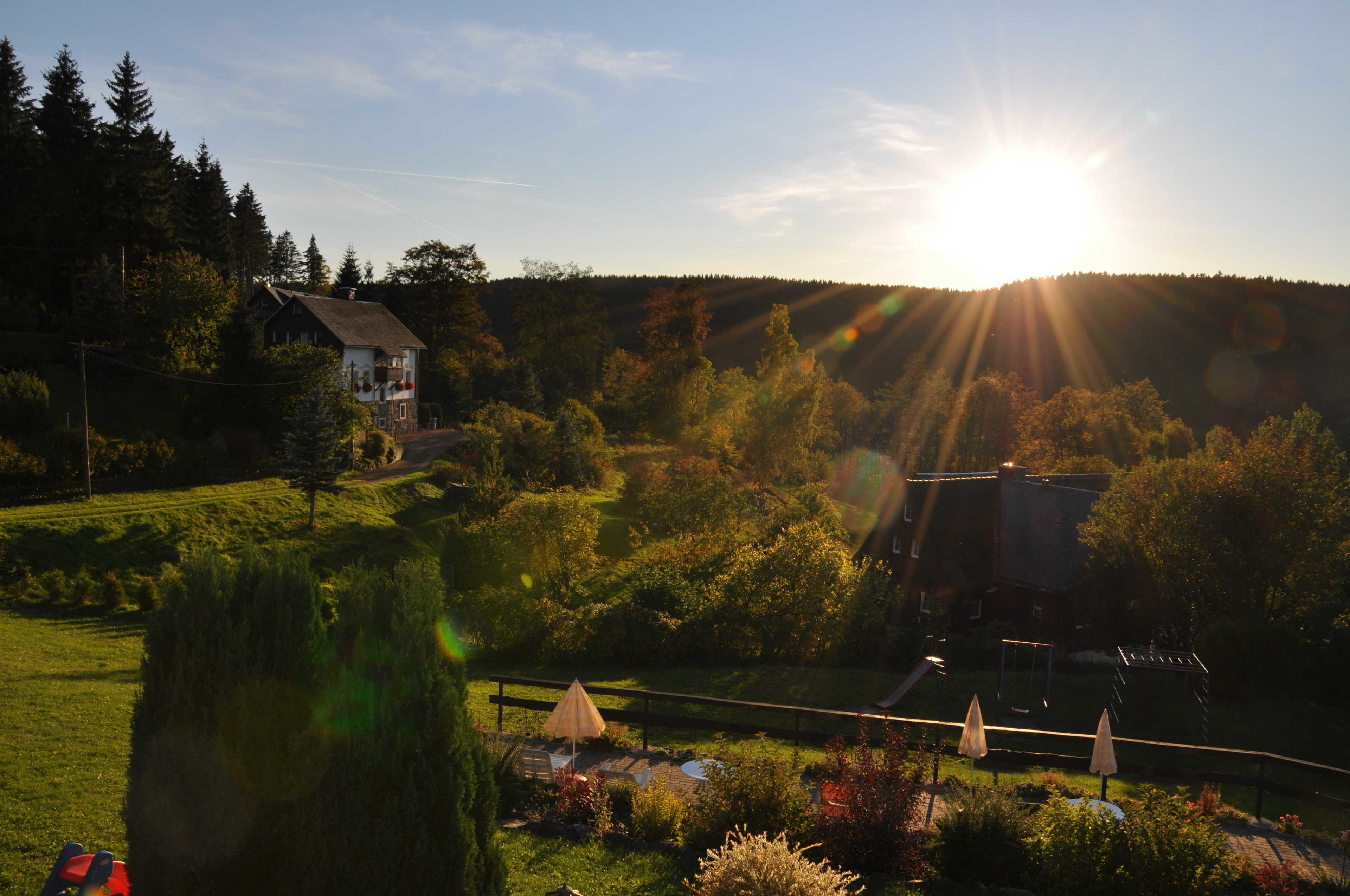 A house with a garden, a swing set, and a view of the surrounding forest.