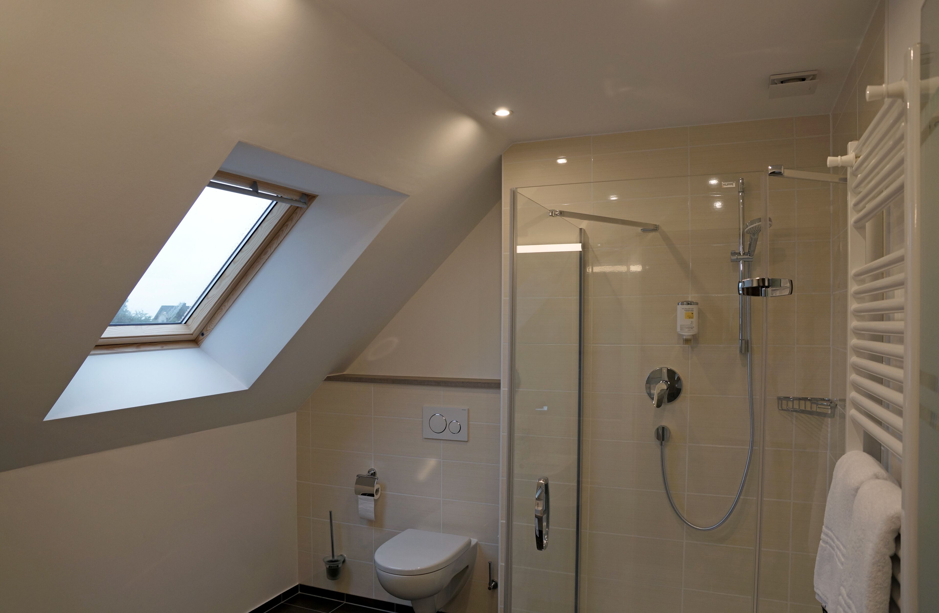 A modern bathroom with a skylight, a glass-enclosed shower, and a toilet.