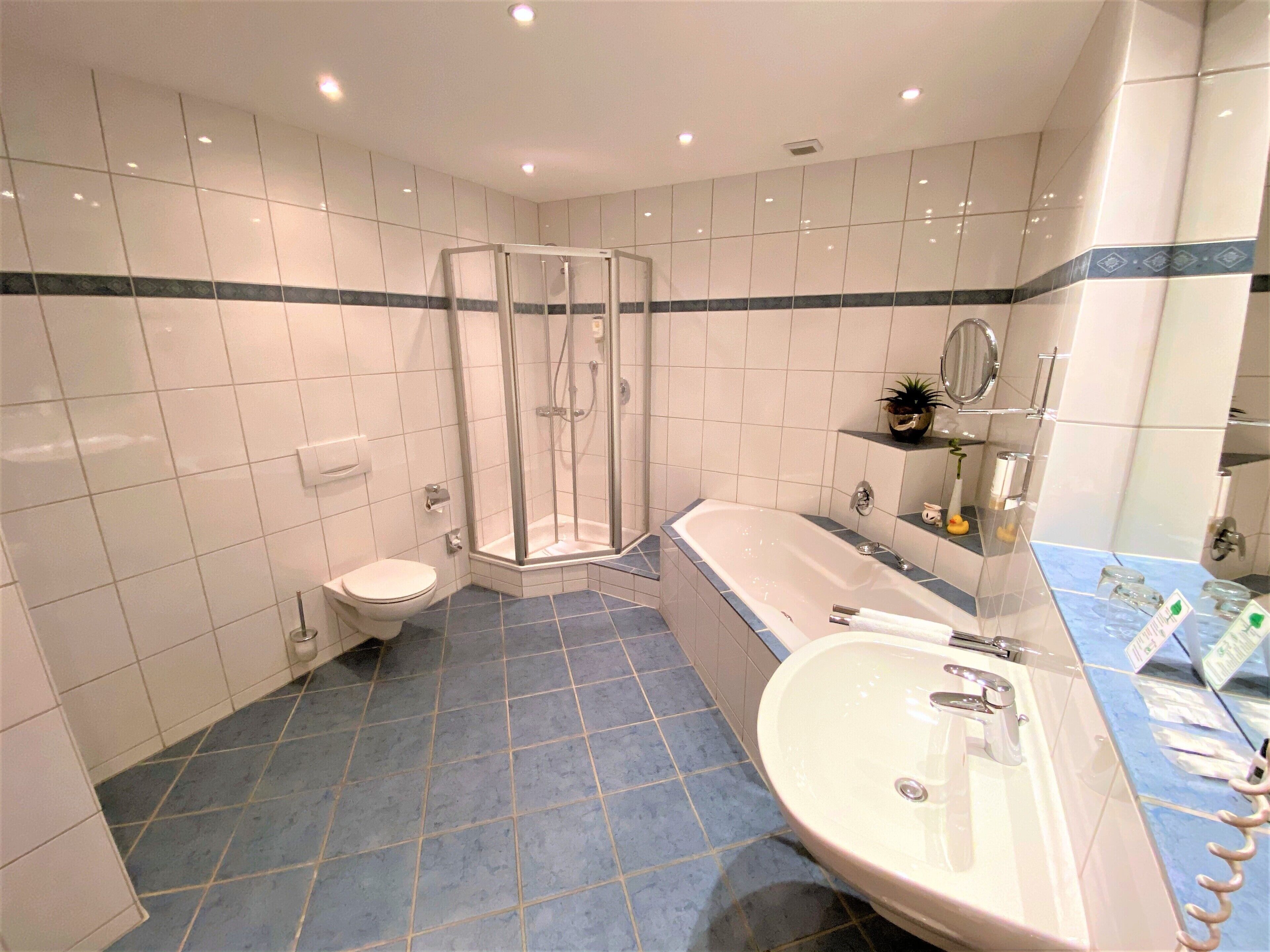 shower, designer toiletries, hair dryer, bathrobes