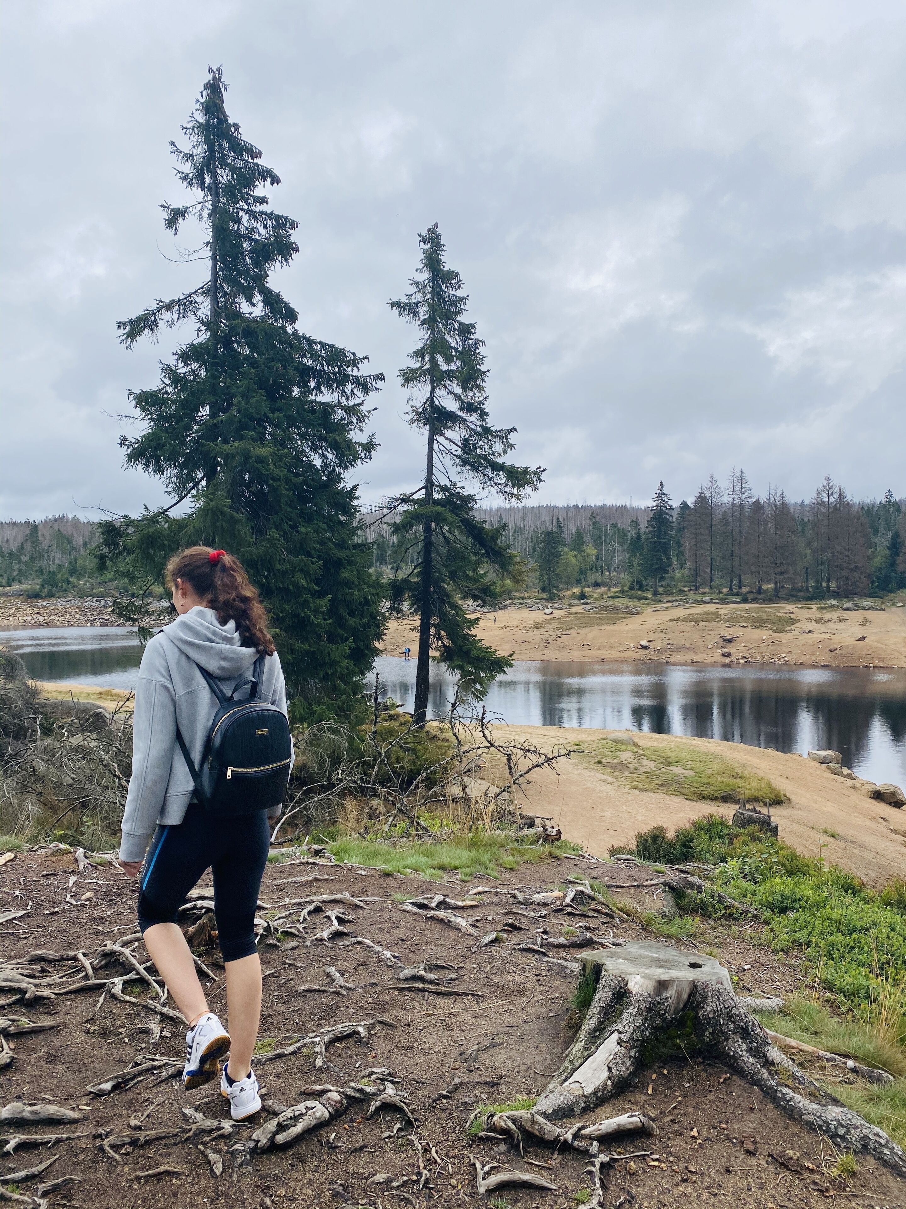 Une personne se tient au bord d’un lac, avec des arbres et une forêt en arrière-plan.