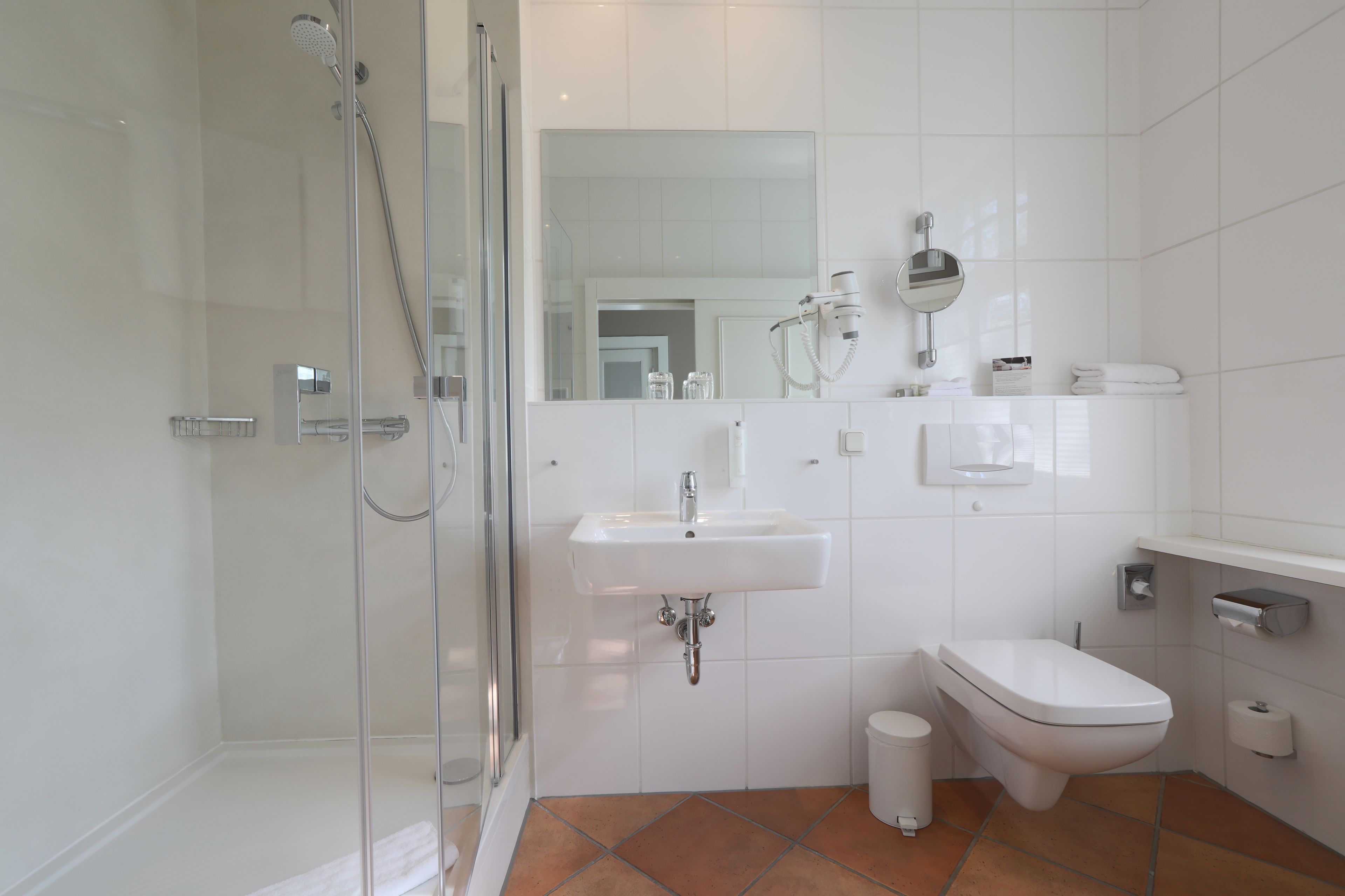 A modern bathroom with a glass shower enclosure, a white sink, a toilet, and a mirror above the sink.