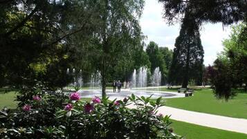 A park with a fountain, green lawns, and trees.