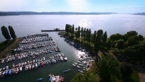 Un puerto deportivo con numerosas embarcaciones amarradas, rodeado de árboles y una vista despejada del agua.