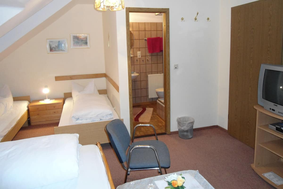 Habitación de hotel con dos camas, una televisión, una silla y una mesita con un florero.