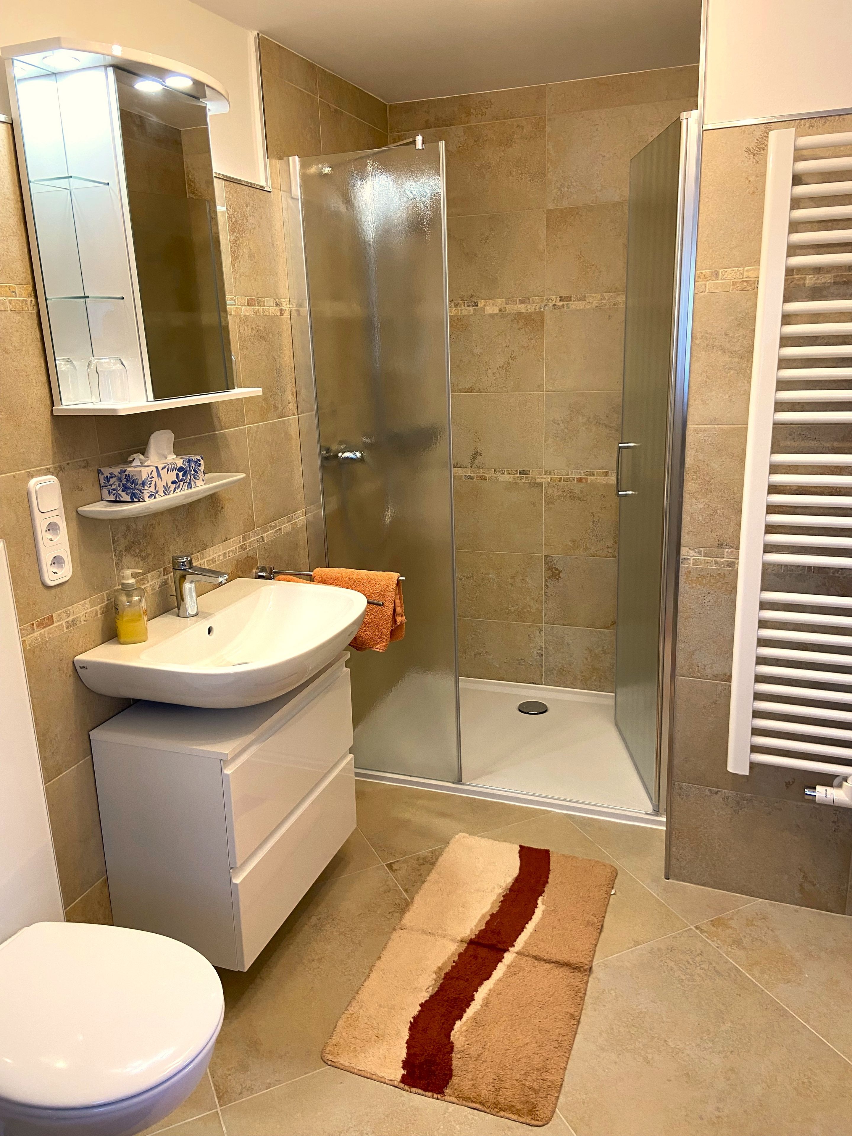 Une salle de bain équipée d’une douche, de toilettes, d’un lavabo et d’un miroir.