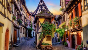 Una calle adoquinada flanqueada por casas tradicionales de entramado de madera, una estructura central de madera con plantas trepadoras y un cielo despejado.