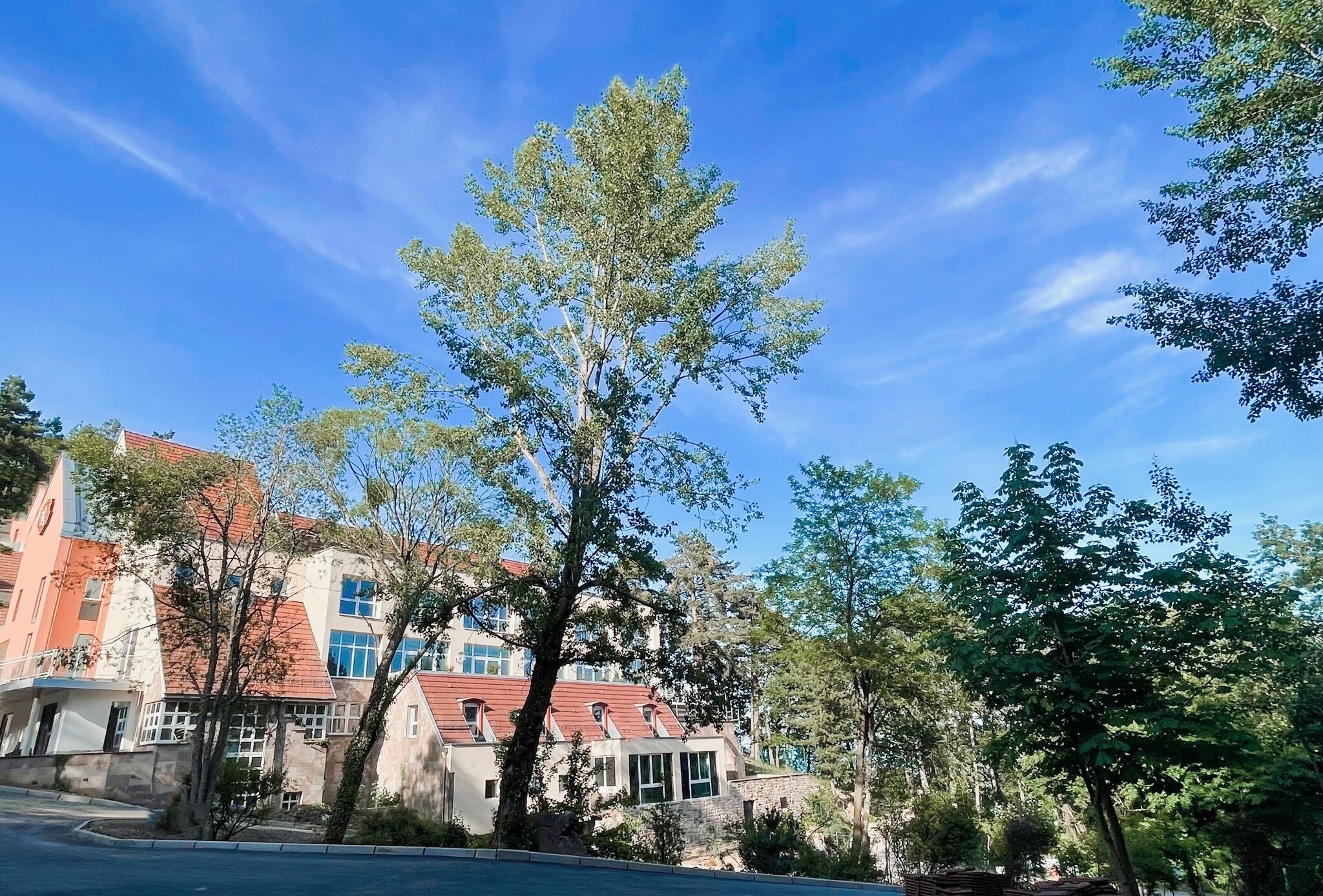 A multi-story building with a red-tiled roof, surrounded by trees and a clear blue sky.