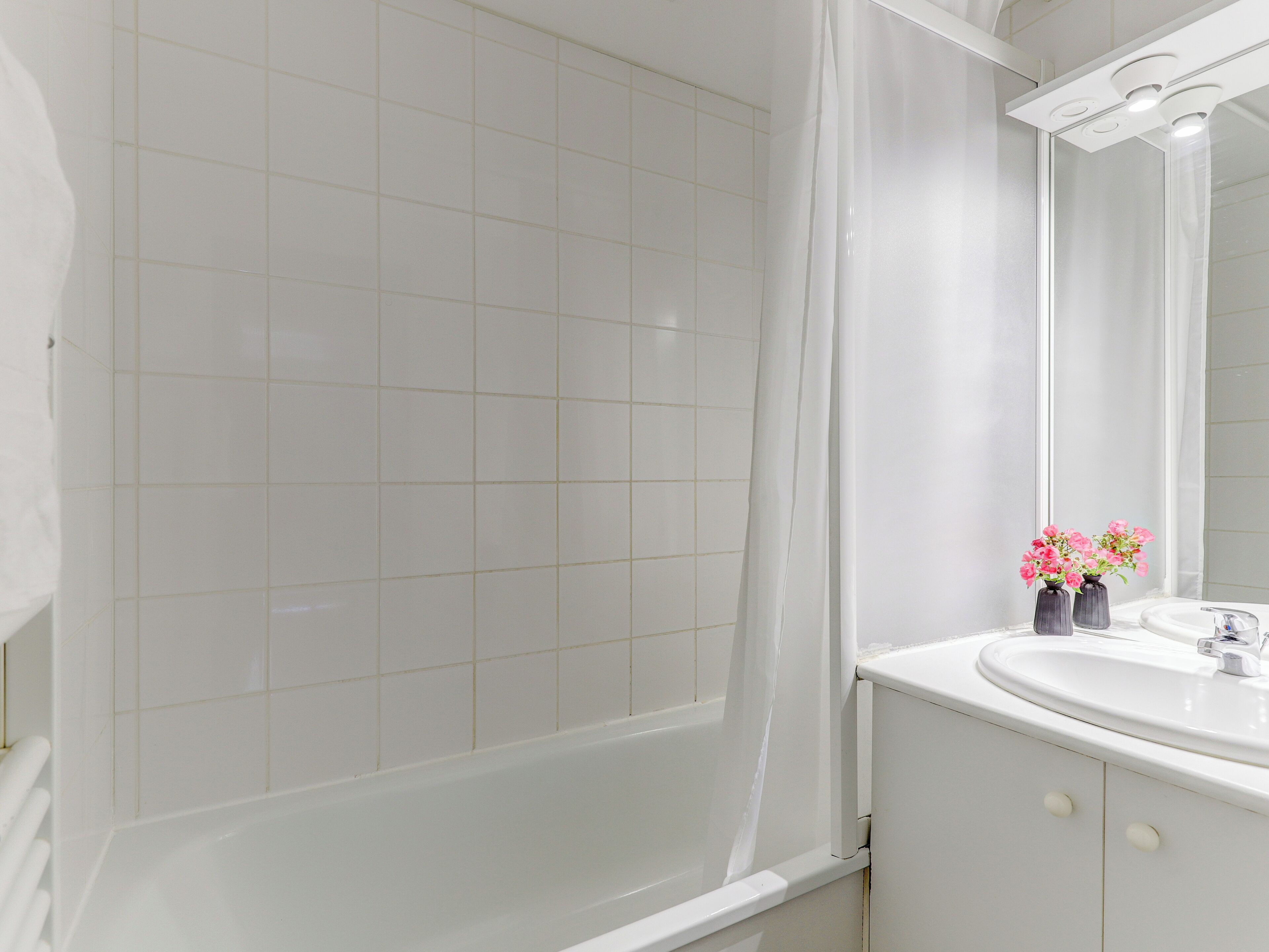 Huis | Badkamer | Een haardroger