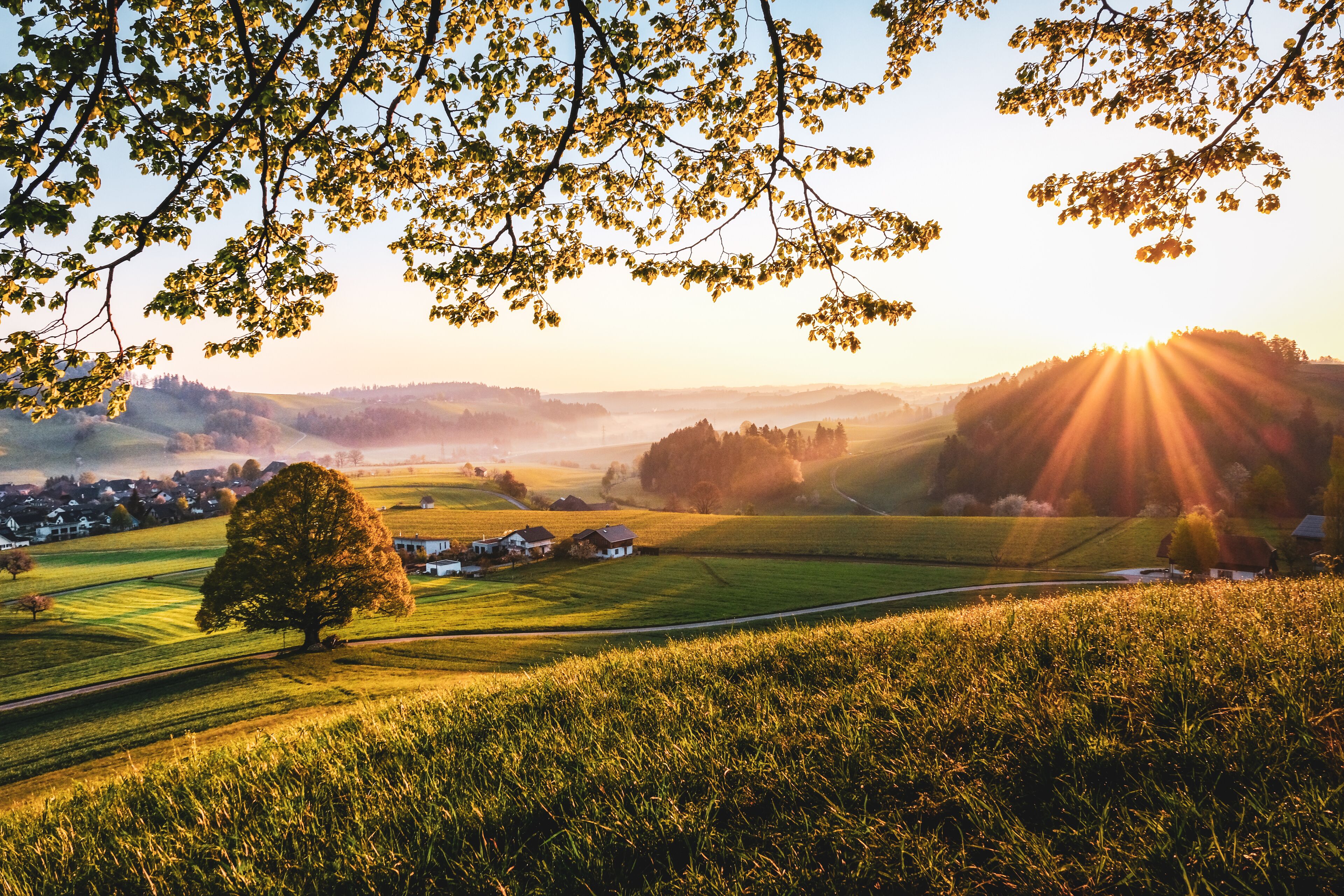 land view from property